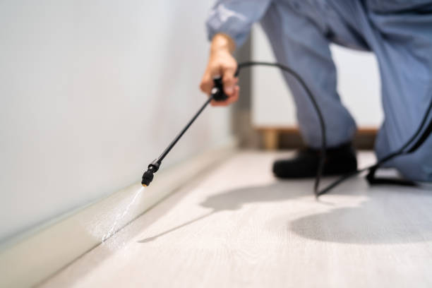 Licensed Rodent Control service in Holiday Shores, IL - Nex Pest Control