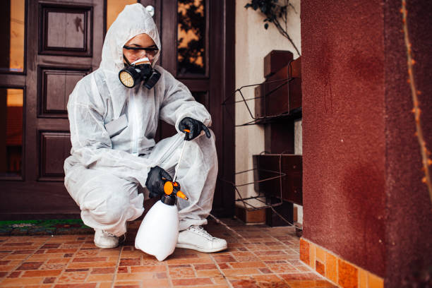Reliable Rodent Control contractor in Holiday Shores, IL by Nex Pest Control